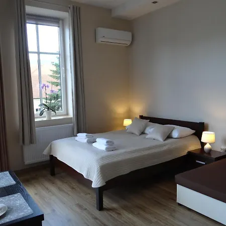 The Lion -apartamenty Z Aneksami Kuchennymi Ustron