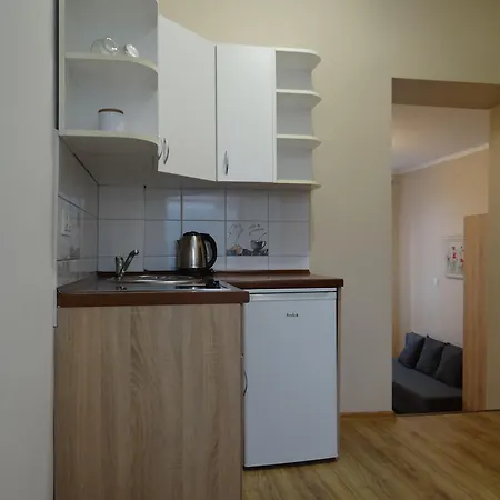 The Lion -apartamenty Z Aneksami Kuchennymi Apartment Ustron