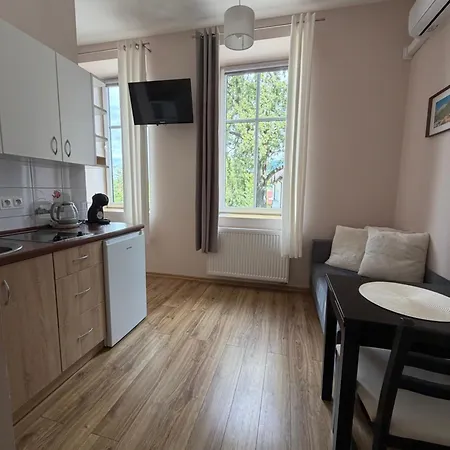 The Lion -apartamenty Z Aneksami Kuchennymi Apartment Ustron