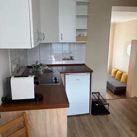 Apartment The Lion -apartamenty Z Aneksami Kuchennymi Ustron