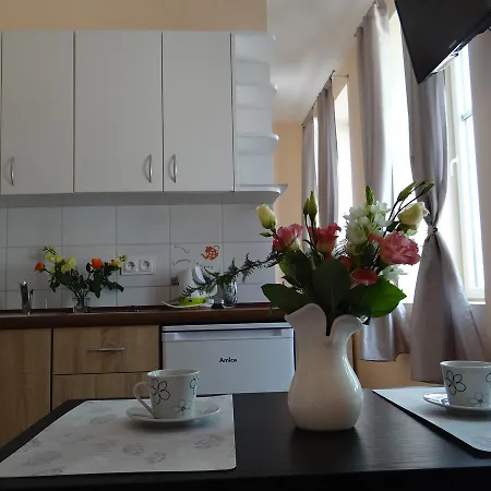 Apartment The Lion -apartamenty Z Aneksami Kuchennymi