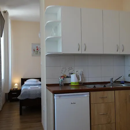 The Lion -apartamenty Z Aneksami Kuchennymi Ustron