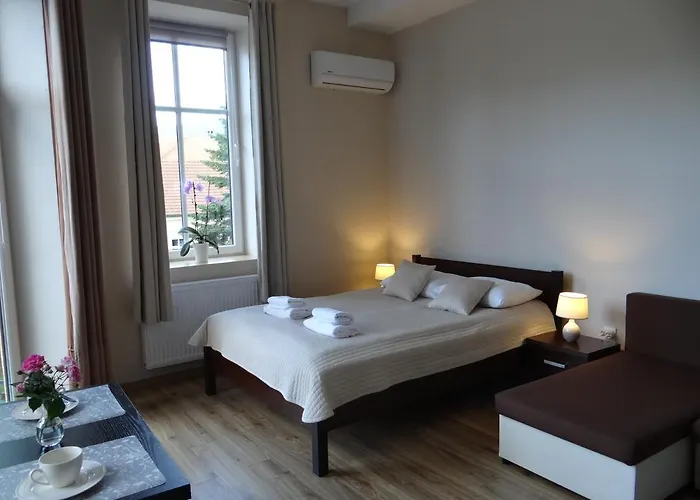 The Lion 우스트론