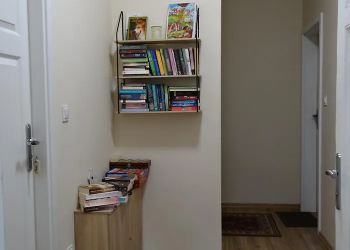 The Lion 우스트론