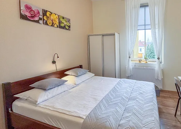 The Lion 우스트론