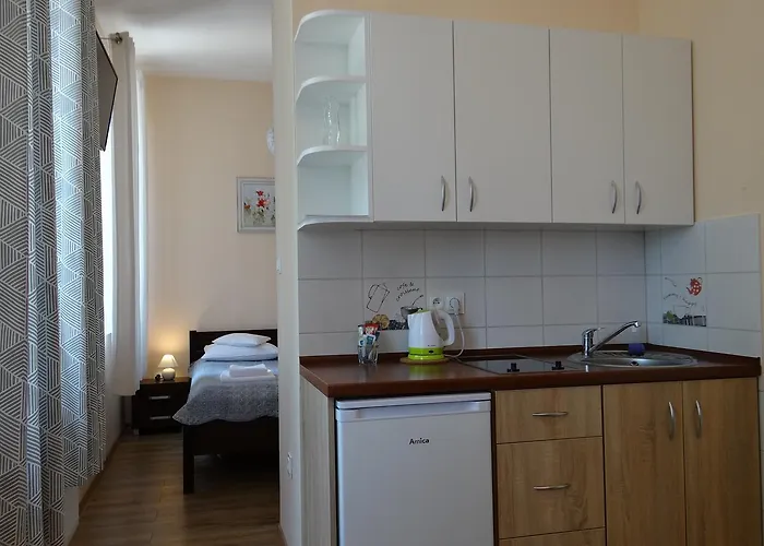 The Lion 우스트론